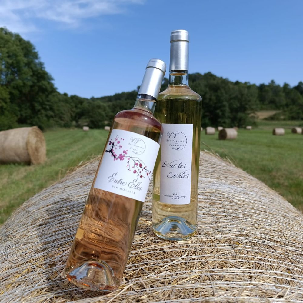 Rosé - Entre Elles (Rupture de stock)