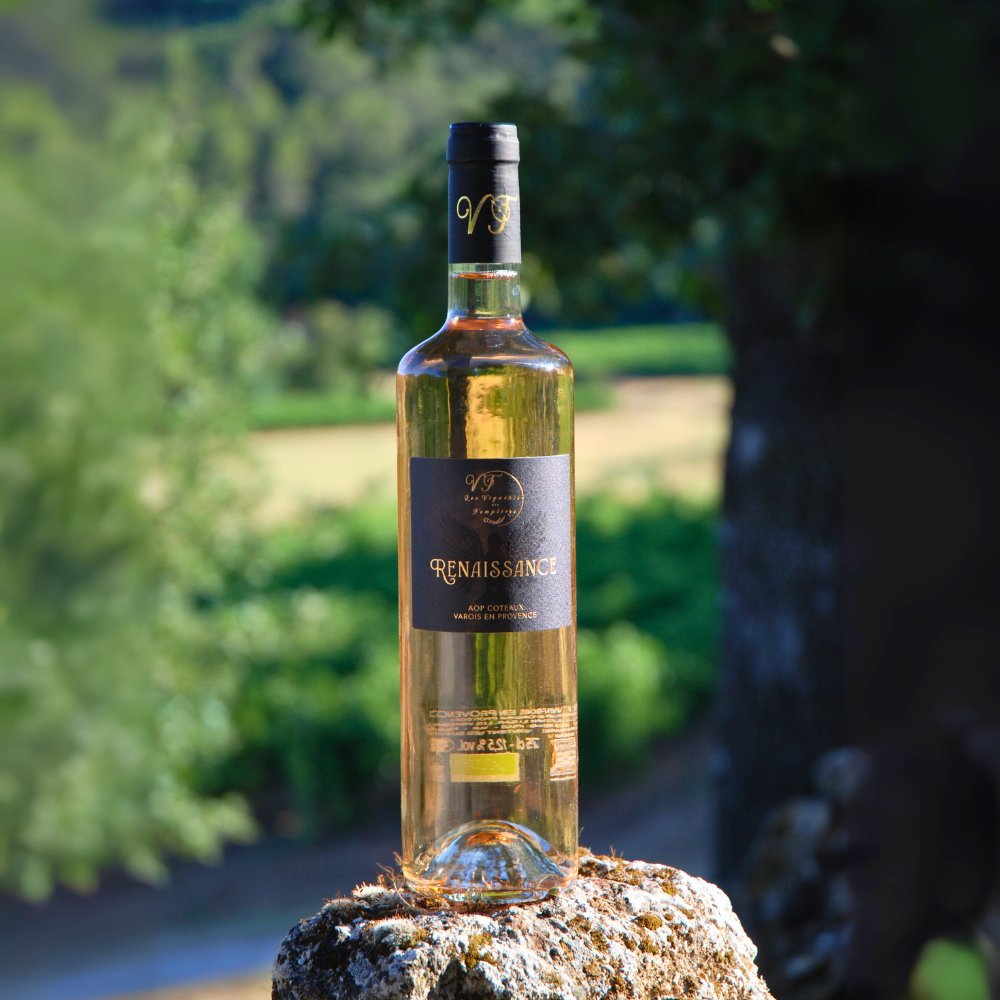 Rosé - Renaissance