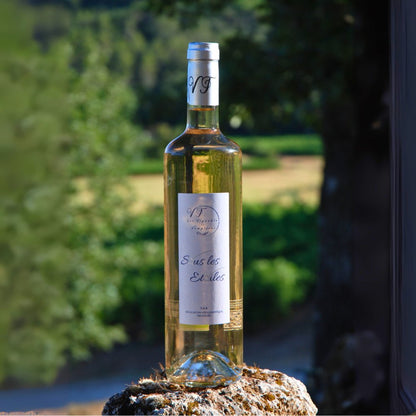 Rosé Sous les Étoiles