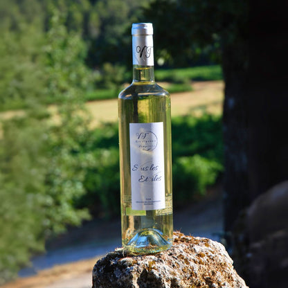 Blanc Sous les Étoiles