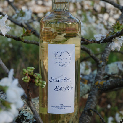 Blanc Sous les Étoiles