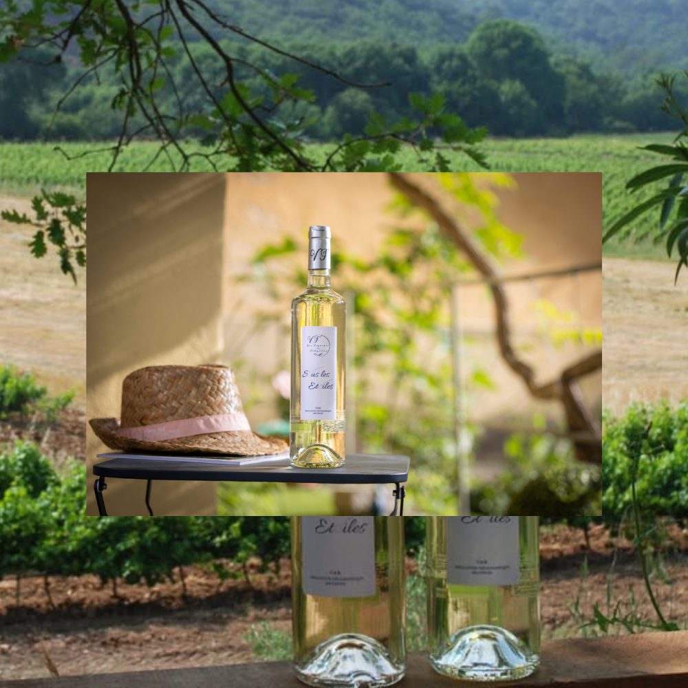 Blanc Sous les Étoiles